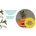 BioZyme Enzyme Peel | Natural Chemical Peel Alternative for Face & Body Exfoliation - Buy Online on GoSupps.com