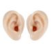 2 Pcs Silicone Ear Model Fake Ear Models Left and Right Soft Flexible Model Fake Ear Piercing Practice Realistic Silicone Ear Mold for Study Practice Teaching Tool Jewelry Display