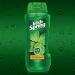 Irish Spring Body Wash Original 18 Fl Oz (Pack of 6) - Buy in Bulk and Save - Buy Online on GoSupps.com