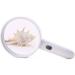 Hand-held Magnifier with Lamp 20 Times Old Man Reading Portable High-Definition High-Power Optical Zoom Lens Made in China - Buy Online on GoSupps.com