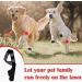 Dog Elbow Brace Protector Pads Hygroma Elbow Pad and Shoulder Protector for Canine Elbow and Shoulder Support Elbow Hygroma Dysplasia Osteoarthritis Elbow Calluses Pressure (Black) L Black - Buy Online on GoSupps.com