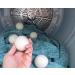 Buy Eco-Friendly Wool Dryer Balls - Natural Fabric Softener for All Laundry - Buy Online on GoSupps.com