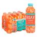 Roar Organic Electrolyte Infusions - USDA Organic - Georgia Peach - with Antioxidants, B Vitamins, Low-Calorie, Low-Sugar, Low-Carb, Coconut Water Infused Beverage 18 Fl Oz (Pack of 12) Georgia Peach 18 Fl Oz (Pack of 12)