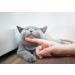 Tabcat V2 Pet Cat/Kitten Tracker - Longer Range, Smaller Tags - Buy Online on GoSupps.com