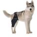 ifundom Comfy Brace Dog Knee Comfortable Dog Knee Protector Front Legs The Dog Auxiliary Belt S As Shown - Buy Online on GoSupps.com