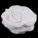Professional Multi-function Cotton Coil Kit For Beauty Of - Buy Online on GoSupps.com