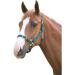 Shires Adjustable Pony/Horse Headcollar - Black Full Navy Full - Buy Online on GoSupps.com