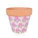 Accentra Hand Care Set - Essential Botanics in Flowerpot | Hand Cream Nail Cream & Gardening Gloves (Rose Scent) - Buy Online on GoSupps.com