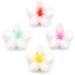 JOYOYO 4 Pcs Matte Flower Hair Clips | 3 Inch Medium Claw Clips for Women & Girls - Buy Online on GoSupps.com