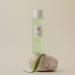 Beauty of Joseon Green Plum Toner - AHA+BHA Refreshing 150ml - Buy Online on GoSupps.com