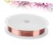 Healeved 2pcs Copper Wire Jewelry Beading Wire Diy Jewelry Nail Art Decoration Wire Jewelry Wire Copper Beading Wire Nail Art Wire Metal Bracelet Wire Nail Accessories Acrylic Nail Manicure - Buy Online on GoSupps.com