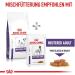 ROYAL CANIN Dog Food Nutrition Neutered Adult Small Dog Vet Care 3.5 Kg Adult 3.5 kg (Pack of 1) - Buy Online on GoSupps.com