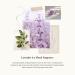Thymes Perfume - 1.75 Fl Oz - Lavender Lavender 1.75 Fl Oz (Pack of 1) - Buy Online on GoSupps.com