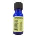 Buy Ravensara Essential Oil 10ml - Pure & Natural | International Shipping Available - Buy Online on GoSupps.com