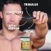 Tribulus Cordyceps Amino Acids and Vitamins | Oxygen Power Booster | Box of 10 Ampoules | Pure Vitae - Buy Online on GoSupps.com