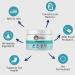 Under the Weather Cat Supplement Powder | Vet-Formulated Probiotic for Feline Health - Buy Online on GoSupps.com
