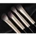 DFHBFG 12-Piece Eye Shadow Brush Set | Complete Beauty Tools for Flawless Makeup Application | International Shipping Available - Buy Online on GoSupps.com