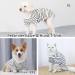 Petsmil Thin Striped Dog Sweater for Small Dogs & Cats - Stretchy Black & White Shirt for Chihuahuas & French Bulldogs - International Shipping Available - Buy Online on GoSupps.com