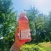 Vitamin Water ZERO Sugar | Gutsy Watermelon Peach 20oz Bottles - Pack of 12 | Nutrient Enhanced with Vitamins, Antioxidants & Electrolytes - Buy Online on GoSupps.com
