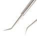 2 Pairs U Shape Eyelash Curling & Perming Pads | Universal Eyelash Extensions Tool - Perfect for International Shipping - Buy Online on GoSupps.com
