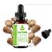 Pure Herbs Sugandh Mantri (Homalemona Aromatica) Essential Oils (100 ml)
