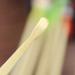 EXCEART 5Pcs Bamboo Ear Cleaning Spoon Chinese Doll Head Earwax Remover Tool - Natural Wood - Buy Online on GoSupps.com