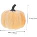 Yardenfun 5pcs Flannel Foam Pumpkin Little Pumpkin Halloween Decorations Outdoor Halloween Pumpkin Small Pumpkins Pumpkin Fall Decorations Artificial Pumpkins Bulk Autumn Decor Mini Set As Shown 14X12.5X12.5CM - Buy Online on GoSupps.com