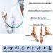 Silicone Gel Heel Protectors - 3 Pairs for Bone Spur, Plantar Fasciitis & Achilles Tendinitis Relief - Buy Online on GoSupps.com