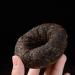 Coquille de Bambou Pu-Erh Jujube Parfum Tuocha Meilleure note 500g de Th Noir Pu'er Cuit - Buy Online on GoSupps.com