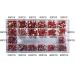 3100Pcs Red Nail Rhinestones by HOINCO - DIY Nail Art Gems & Charms with Tweezers | Perfect for Nail Design - Buy Online on GoSupps.com