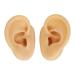 Ear Piercing Practice Model - Soft Silicone Lifelike Left Right Reusable Display for Earphones (Light Beige) - International Shipping Available - Buy Online on GoSupps.com