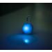 Buy LED Light Trailers in Blue for Dogs & Cats | Luminaire Band Dog Collar - One Size Light Trailer - Buy Online on GoSupps.com