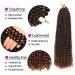 Passion Twist Hair - 7 Packs 18-Inch Water Shaft Bohemian Crochet Extensions (T1B-30#) | YDDM Authentic Hair - Buy Online on GoSupps.com