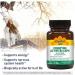 Country Life Coenzyme Active B-6 50mg - 30 Count | Natural Energy Support - Buy Online on GoSupps.com