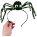 JSGHGDF Funny Araneid Birthday Party Spiderling Headwear Hair Halloween Costume Hairband Green - Buy Online on GoSupps.com