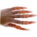 BESTonZON 2 Sets Fake Nails Decor False Nails Fake Party Nails Spooky Nails Halloween Nails Fake Finger Nails Prom Ghost - Buy Online on GoSupps.com