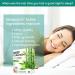 WisePatch Foot Pads 100 PCS - Natural Detox Foot Patches for Body Cleansing - Buy Online on GoSupps.com