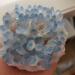 Home Decoration 400-700g Rare Beautiful Blue Ghost Phantom Quartz Crystal Cluster Specimen Chakra Stones Crystal Cluster (Size : 500-600g) - Buy Online on GoSupps.com