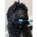 Petdentist Manual Large Dog Toothbrush with Gentle Soft Charcoal Bristles for Dogs Teeth Cleaning Tartar and Plaque Off Easily and Best for Cat Dog Gingivitis - Buy Online on GoSupps.com