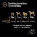 Cesar Barquettes Natural Goodness Terrine Wet Dog Food 4 Varieties Pack of 24 trays x 100 g - Buy Online on GoSupps.com