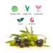 Spot Reduction Face Cream with Kakadu Plum & Acai Berry - Vitamin C Dark Spot Remover for Women & Men | 100% Organic & Sulphate-Free - 50g - Buy Online on GoSupps.com