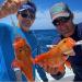 Tilefish Rig 3 Pack with 2 LED Deep Drop Lights - Ultimate Set for Deep Sea Fishing - Buy Online on GoSupps.com