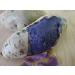 Okinawa Sweet Potato Seeds - Buy Hawaiian Uala Seeds for International Shipping - Buy Online on GoSupps.com