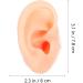 Exceart Silicone Ear Model - Acupuncture Simulation & Piercing Practice Tool - Food Grade Medical Quality - Buy Online on GoSupps.com
