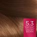 L'Oreal Paris Excellence 5.3 Golden Brown Hair Color - Pack of 3 | International Shipping Available - Buy Online on GoSupps.com