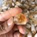 Raw Crystals Bulk Natural Stone Crystal Rough Citrine Crystal Point 20pc - Buy Online on GoSupps.com