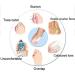 Tarusky SiliconeGel Big Toe Protector (2 Pair) - Bunion Relief Toe Separator & Straightener - Medium White - Buy Online on GoSupps.com