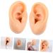 Human Ear Model Earrings Display Set - 4pcs Pierced Ear Piercing Jewelry Simulator for Studs - Assorted Colors - 5.66x4.88x5cm - Buy Online on GoSupps.com