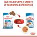 Royal Canin Medium Dry Puppy Food 3kg - Buy Online on GoSupps.com