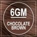 Naturtint Permanent Hair Color 6GM Chocolate Blonde - Ammonia Free, Vegan, Cruelty Free (Pack of 1) - Buy Online on GoSupps.com